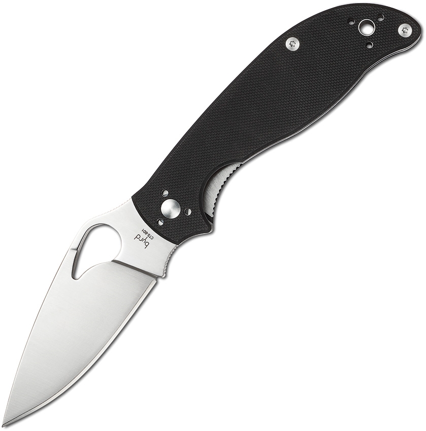 BYRD Raven 2 G-10
