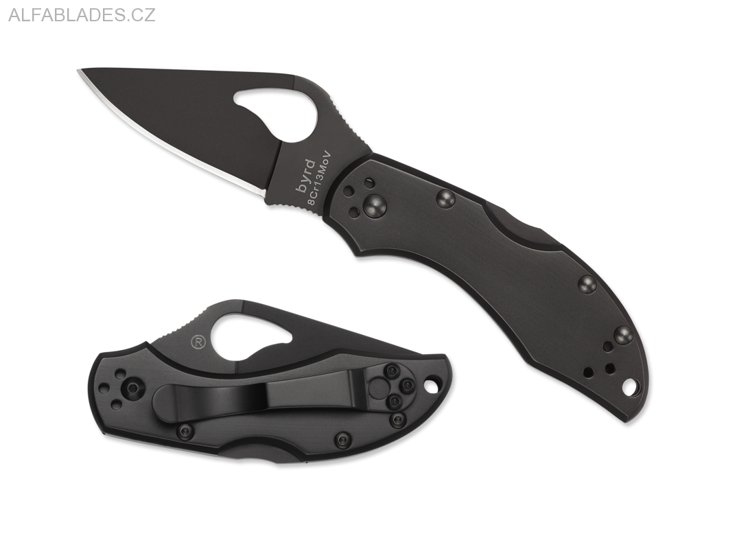 BYRD Robin 2 Stainless Black