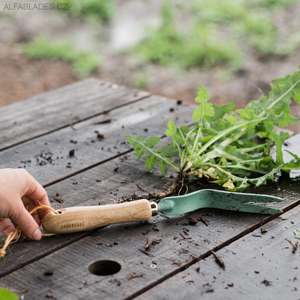 BAREBONES LIVING Dandelion Weeding Fork Mint