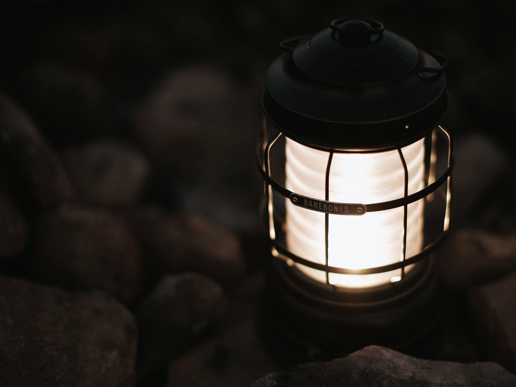 BAREBONES LIVING Forest Lantern Antique Bronze