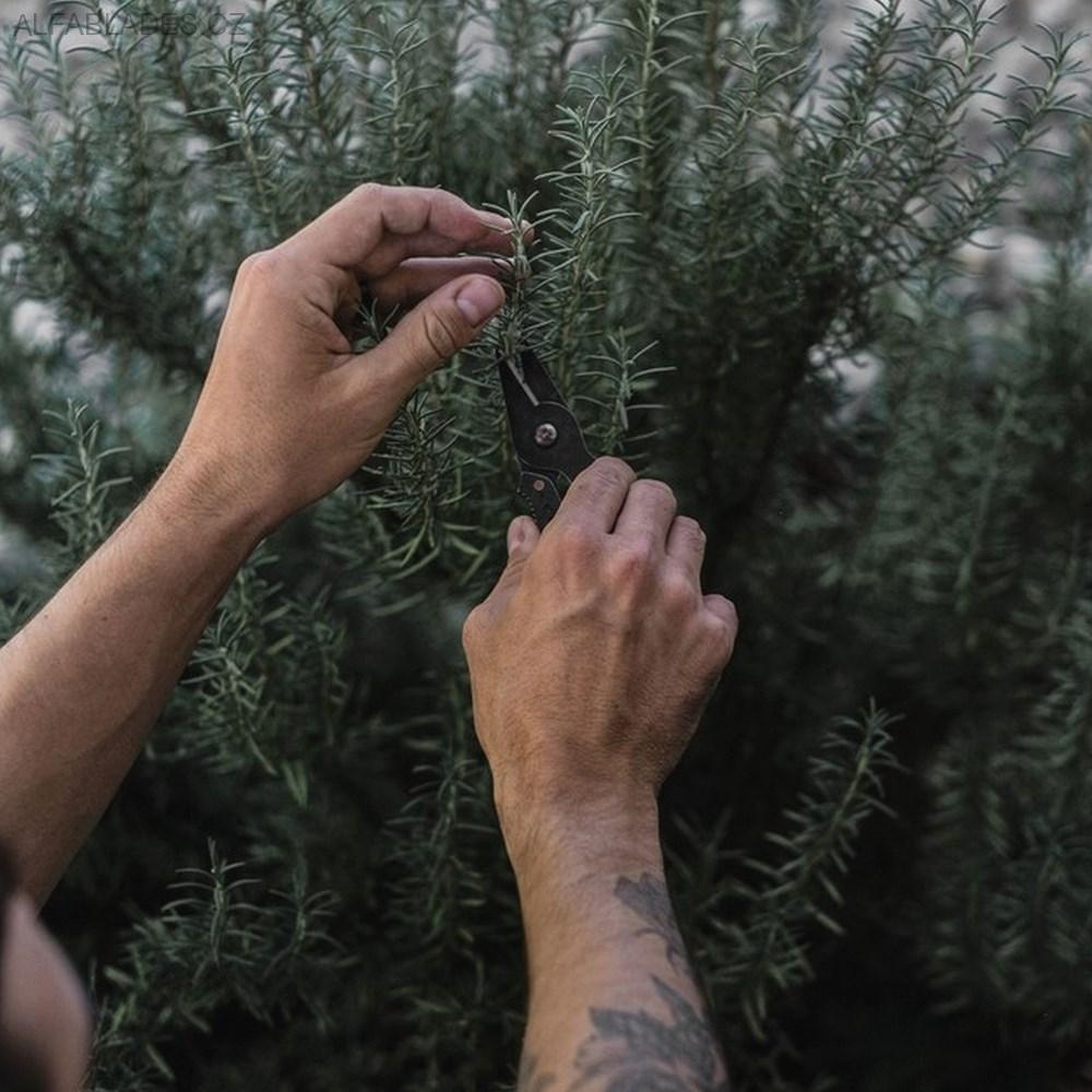 BAREBONES LIVING Herb Harvest and Strip Tool 